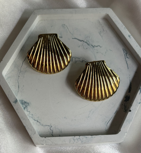 Aurora Shells