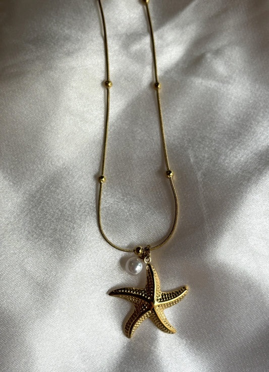 Starfish Glow